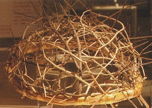 Jesus' crown of thorns