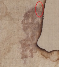 Side wound - Shroud of Turin